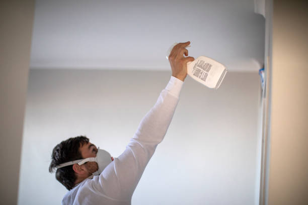 Best Mold Removal Company Near Me  in Salisbury, MD