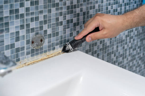 Best Black Mold Removal  in Salisbury, MD